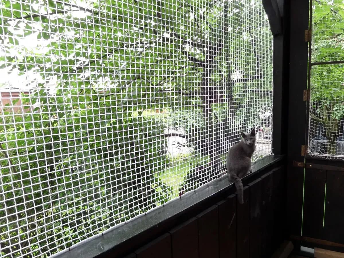 Pet Safety Nets
